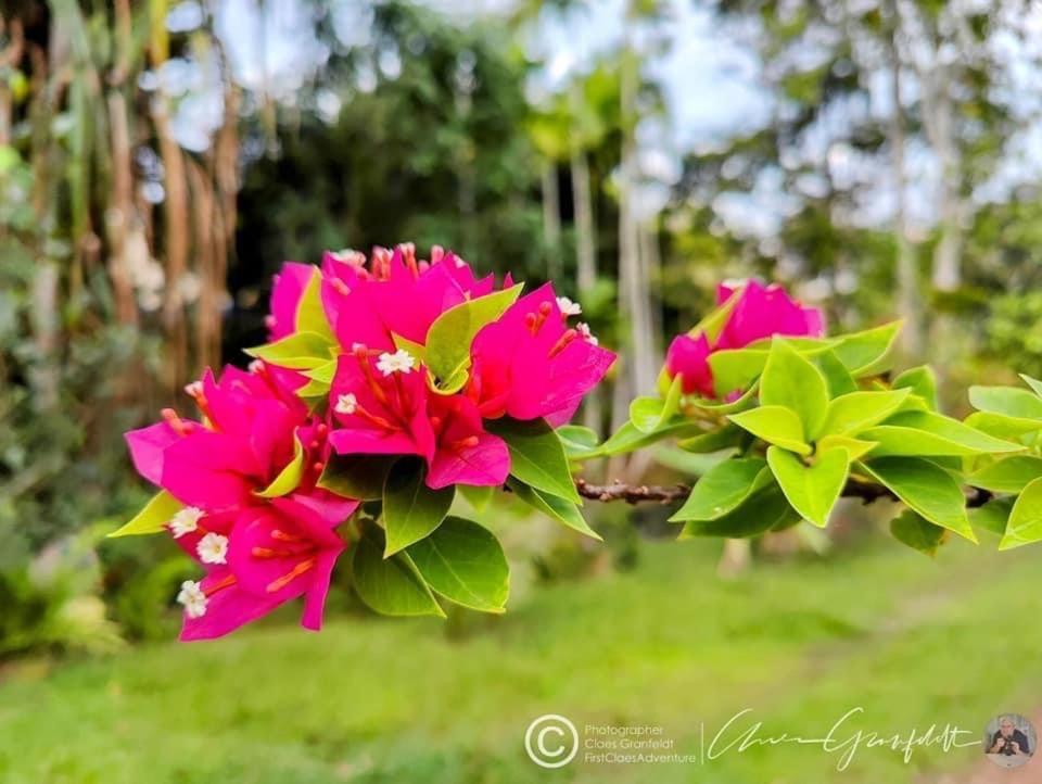 Phurin Thara Resort Ko Lanta المظهر الخارجي الصورة